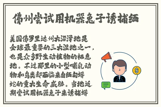 老地方在线观看免费资源